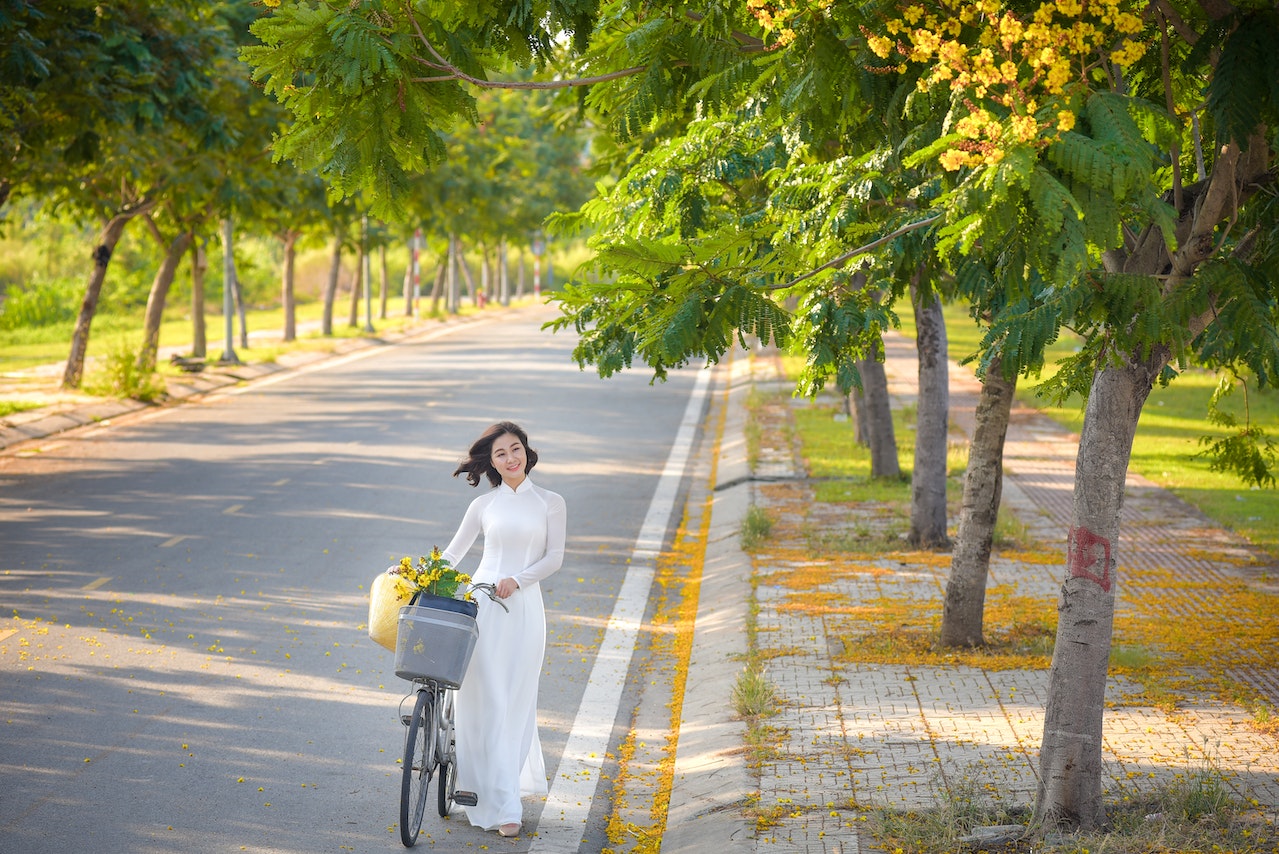 Học tro và hoa phuong vang