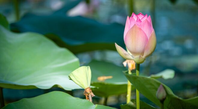 Quá khứ khó quên