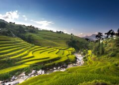 Hạnh phúc và cơ hội