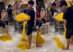 TP.HCM: Bắt tạm giam chủ cơ sở sản xuất 800 tấn mì tươi trộn hóa chất cấm