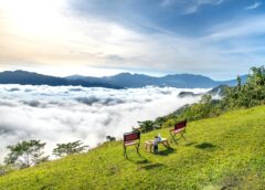 Ai biết được định số!