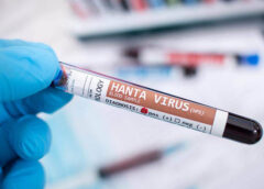 Virus Hanta bùng phát, Tổ chức Y tế Thế giới đưa ra khuyến cáo phòng ngừa