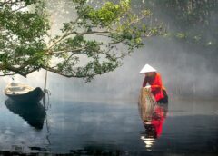 Mầm Mẹ…