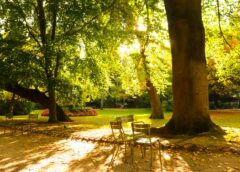 Chào tháng chín